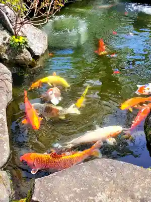 長寿院(福島県)