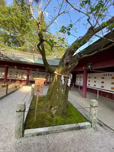 笠間稲荷神社の庭園