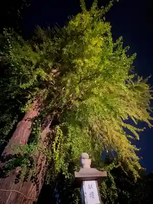 三栖神社(京都府)