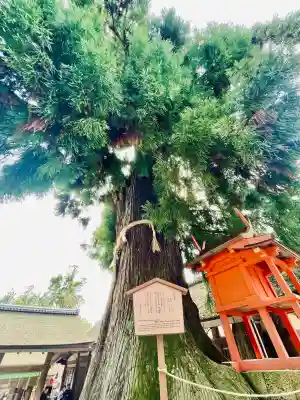 春日大社の{uncategorized: "未分類", other: "その他", undefined: "問題あり", building: "その他建物", grave: "お墓", sacred_gate: "鳥居", guardian: "狛犬", statue: "像", buddha: "仏像", history: "歴史", nature: "自然", garden: "庭園", animal: "動物", pagoda: "塔", temizu: "手水舎", mountain_gate: "山門・神門", sanctuary: "本殿・本堂", subordinate: "末社・摂社", art: "芸術", scenery: "景色", jizo: "地蔵", ema: "絵馬", goshuin: "御朱印", omikuji: "おみくじ", items: "授与品その他", amulet: "お守り", goshuincho: "御朱印帳", eats: "食事", festival: "お祭り", votive_dance: "神楽", shichigosan: "七五三参", wedding: "結婚式", experience: "体験その他", initially: "初詣", around: "周辺", anti_infection: "感染症対策"}