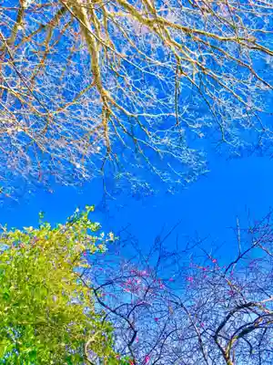 鹿島神社の自然