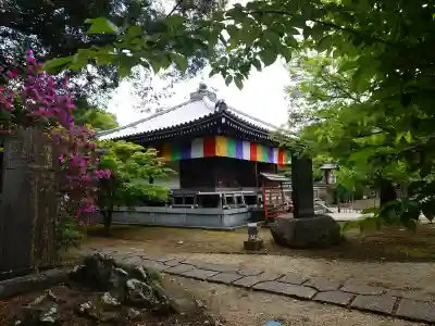 東漸寺の{uncategorized: "未分類", other: "その他", undefined: "問題あり", building: "その他建物", grave: "お墓", sacred_gate: "鳥居", guardian: "狛犬", statue: "像", buddha: "仏像", history: "歴史", nature: "自然", garden: "庭園", animal: "動物", pagoda: "塔", temizu: "手水舎", mountain_gate: "山門・神門", sanctuary: "本殿・本堂", subordinate: "末社・摂社", art: "芸術", scenery: "景色", jizo: "地蔵", ema: "絵馬", goshuin: "御朱印", omikuji: "おみくじ", items: "授与品その他", amulet: "お守り", goshuincho: "御朱印帳", eats: "食事", festival: "お祭り", votive_dance: "神楽", shichigosan: "七五三参", wedding: "結婚式", experience: "体験その他", initially: "初詣", around: "周辺", anti_infection: "感染症対策"}