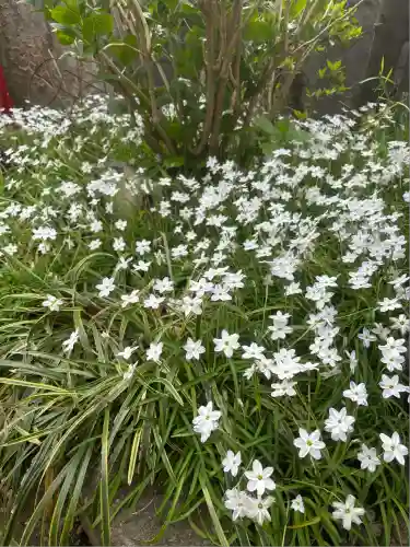 圓應寺(東京都)