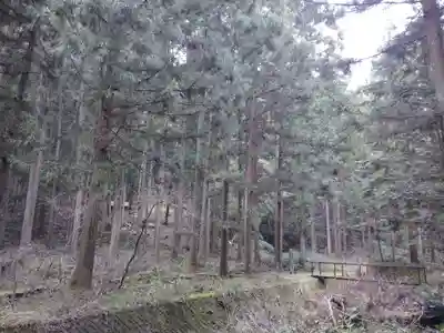 諏訪神社の自然