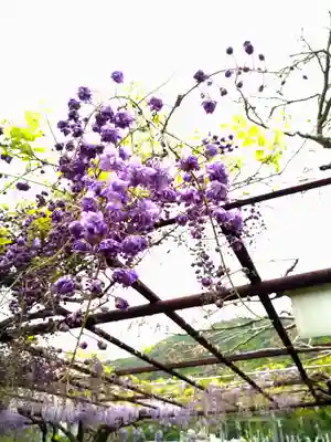 和氣神社(和気神社)の自然