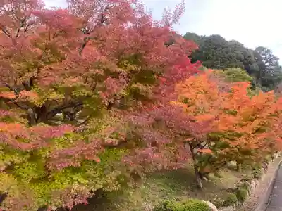 桂谷寺(兵庫県)