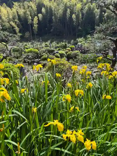 洞泉寺(岐阜県)