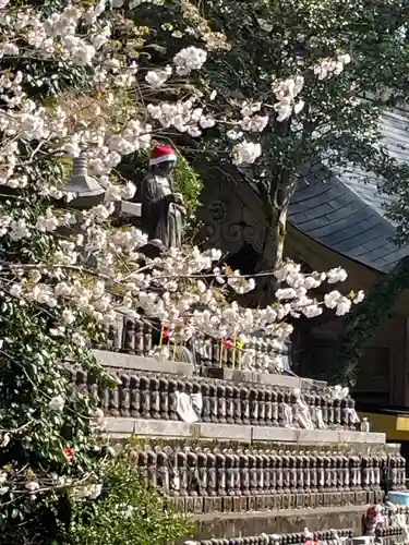 国上寺(新潟県)