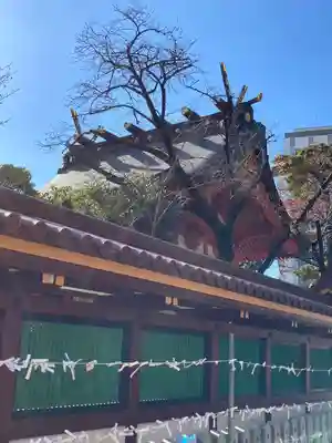 生田神社の本殿・本堂