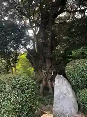 常宮神社(福井県)