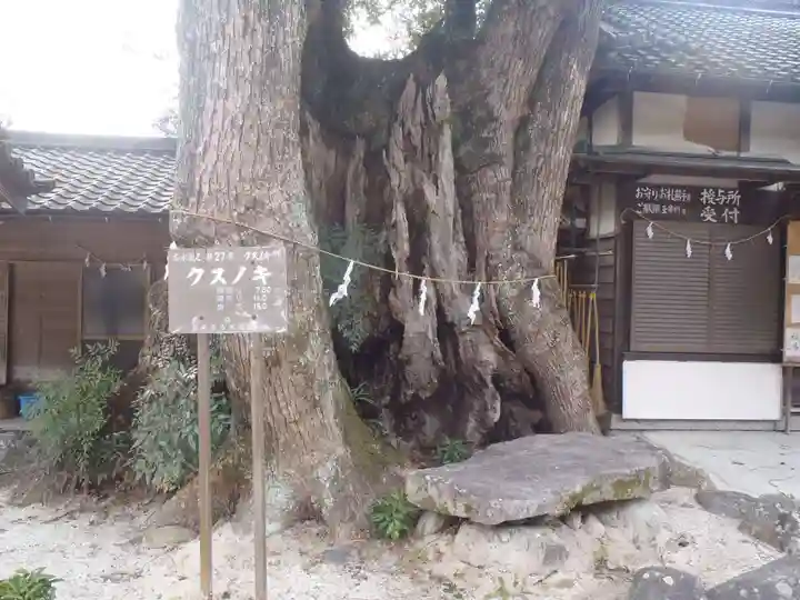 八幡宮(寺部八幡宮)(愛知県)