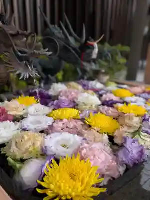 駒込妙義神社(東京都)