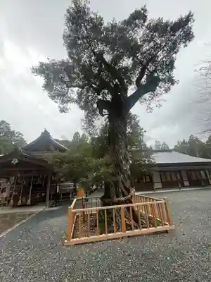 井伊谷宮(静岡県)