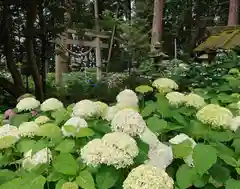 磯山神社(栃木県)