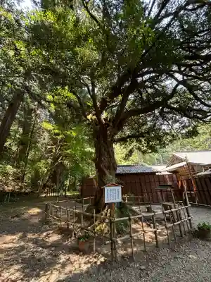 小國神社(静岡県)
