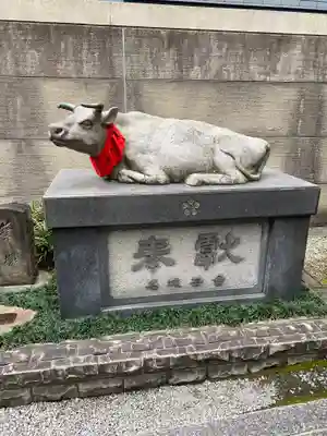 櫻天神社の狛犬