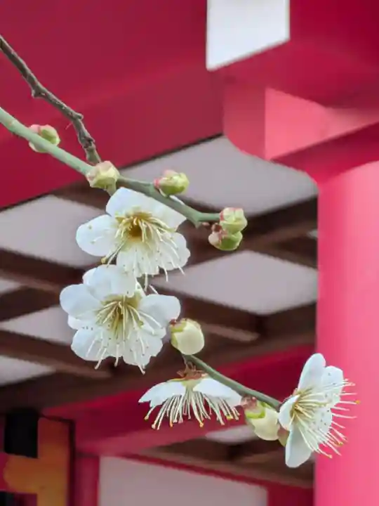 成子天神社(東京都)