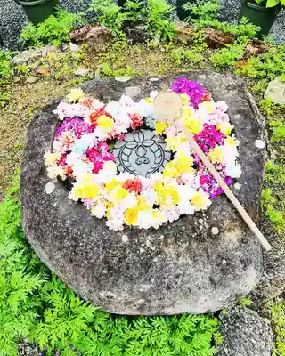 柳谷観音　楊谷寺(京都府)