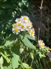 木舟山　順教寺の自然