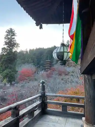 長谷寺(奈良県)
