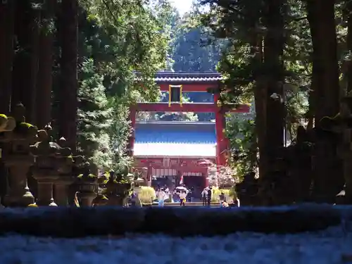 北口本宮冨士浅間神社の鳥居