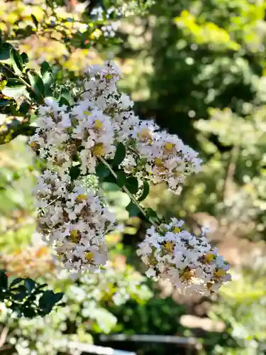 木舟山　順教寺の自然