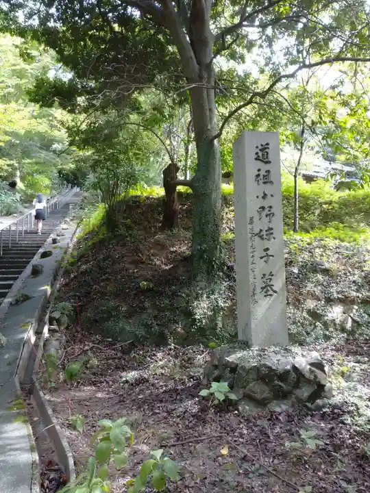 科長神社の周辺