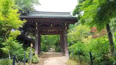 本土寺の山門・神門