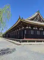 蓮華王院(三十三間堂)の本殿・本堂