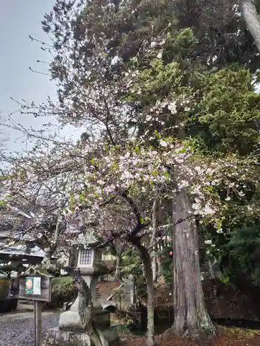 鹿島大神宮(福島県)