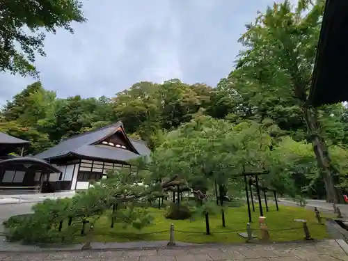 慈雲寺の庭園