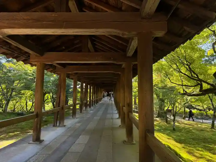 東福禅寺(東福寺)(京都府)