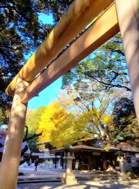 乃木神社(東京都)