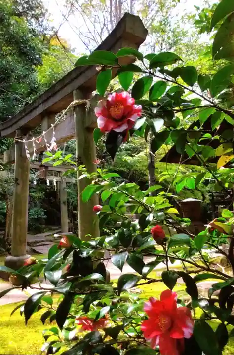 赤坂氷川神社(東京都)