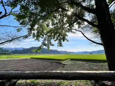檍神社(鹿児島県)