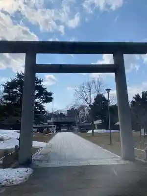 札幌護國神社の鳥居