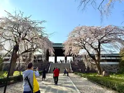 東郷寺(東京都)