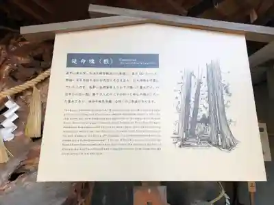 門戸厄神東光寺の歴史