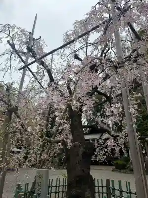 大國魂神社(東京都)