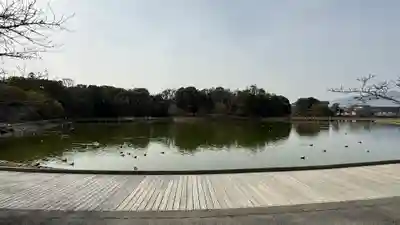 橿原神宮(奈良県)