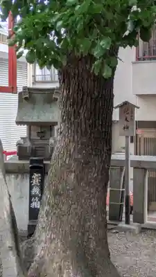 若宮八幡大神宮(大阪府)
