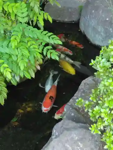 長谷寺(神奈川県)