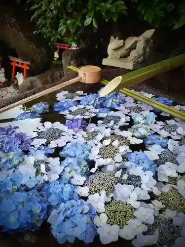 東京羽田 穴守稲荷神社(東京都)