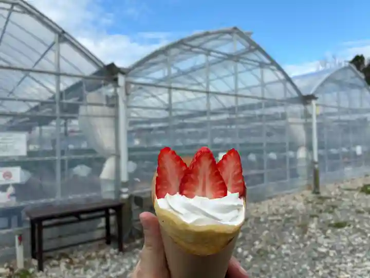 折野八幡神社(徳島県)