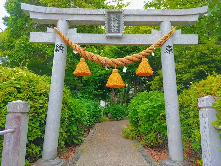 秋葉社(羽塚町)の鳥居