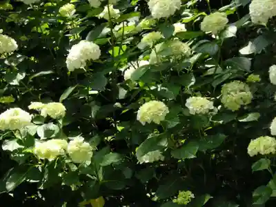 東大寺別院阿弥陀寺(山口県)