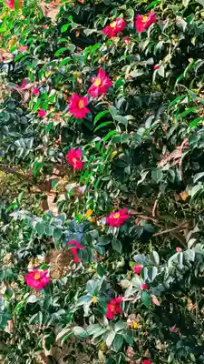 前原御嶽神社の自然