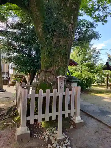 大神神社（花池）の自然