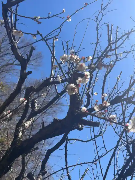 根岸八幡神社(神奈川県)