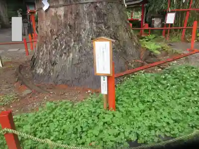 日光二荒山神社(栃木県)